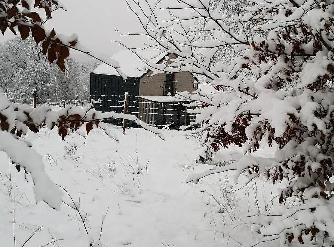 Domek Nasze Miejsce Lomnica  foto