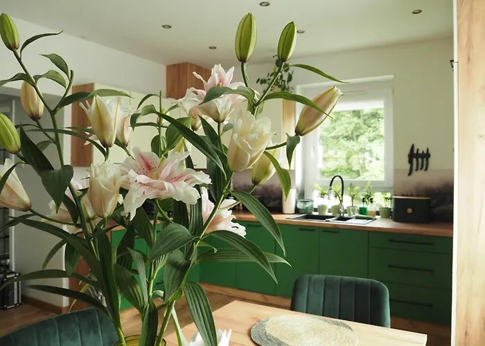 Apartament ZIELONO MI 2 Jedlina-Zdroj zdjęcie