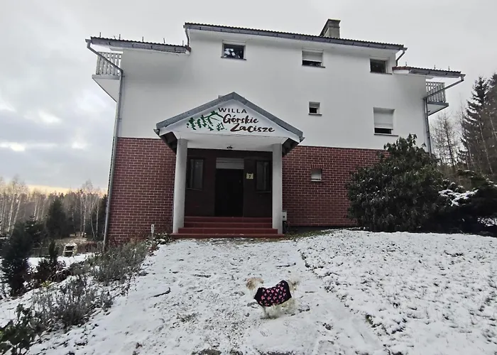 Willa Gorskie Zacisze Borowice foto