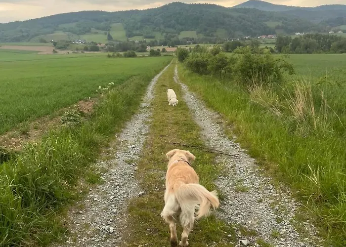 Domek Posrod Gor Laski  photo