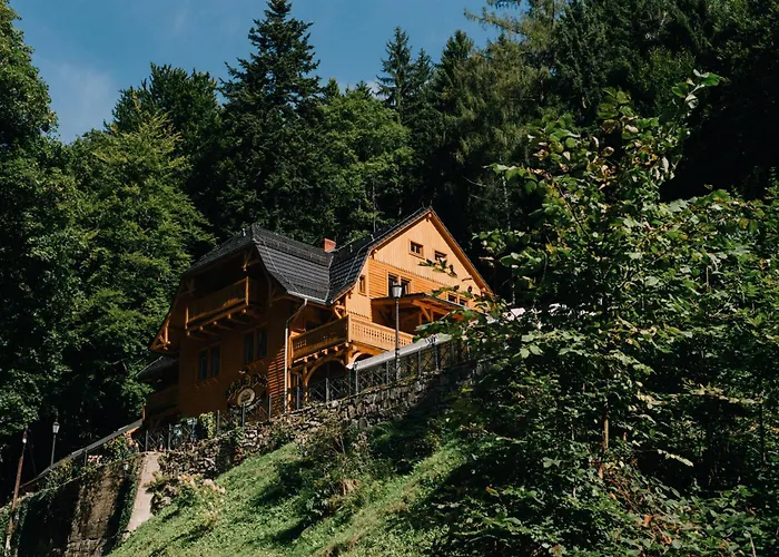 Pensjonat Alpejski Dwor Miedzygorze photo